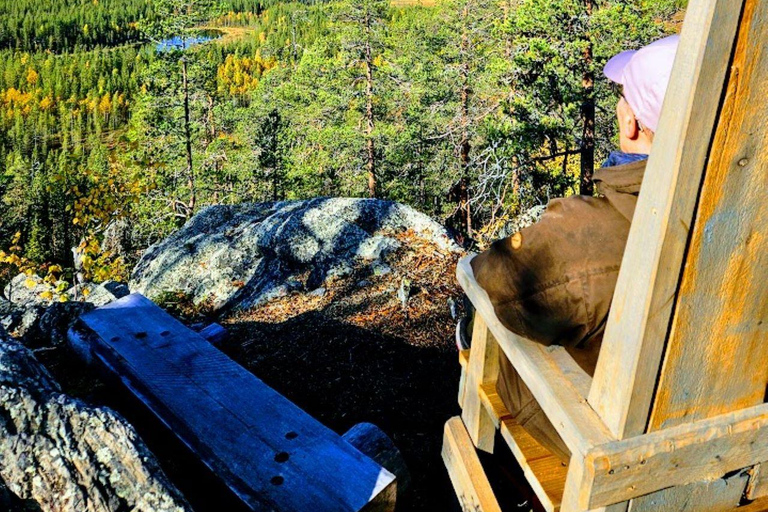 Lapponia: Escursione guidata nella natura incontaminata di Luosto