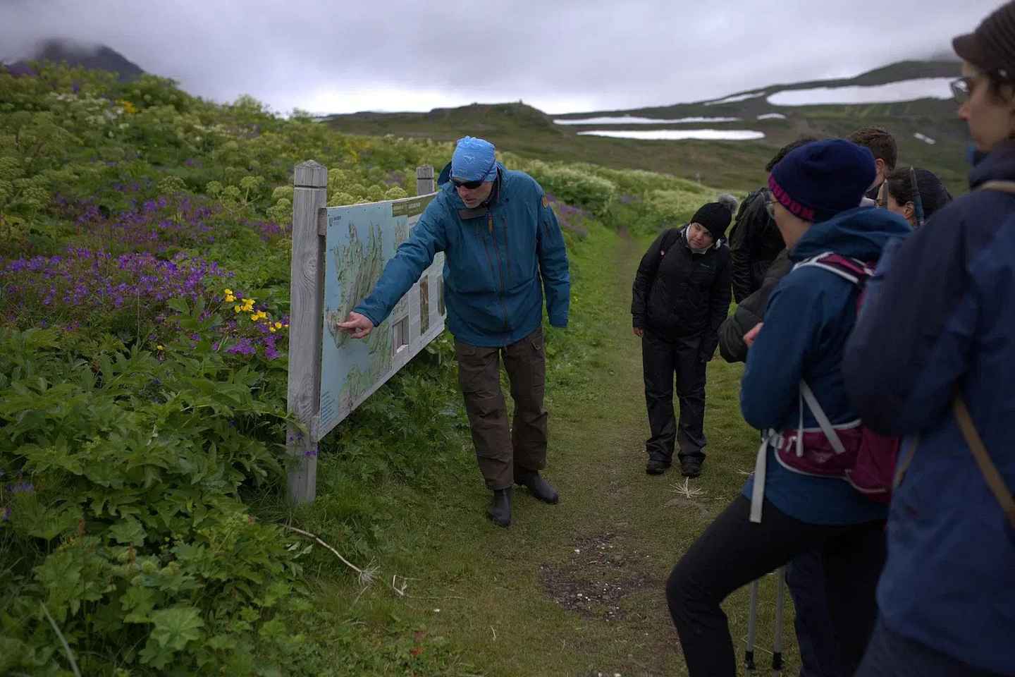 Ísafjörður: Hornstrandir Guided Hike Hesteyri to Aðalvík