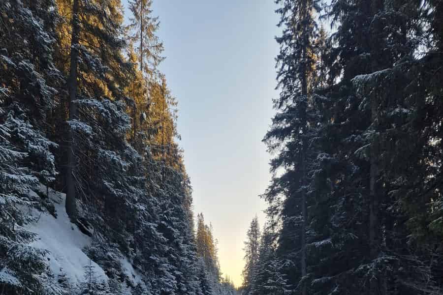 Panoramagipfel – Oslos beste Wanderung mit Blick auf die Fjorde. Foto: GetYourGuide