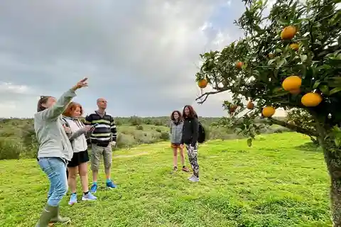 Olhao: Visit to an orange grove, and Silves, orange capital