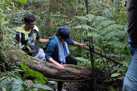 Jacarta a Bogor: Cachoeira Luhur e Lago Lido - Passeio de um dia