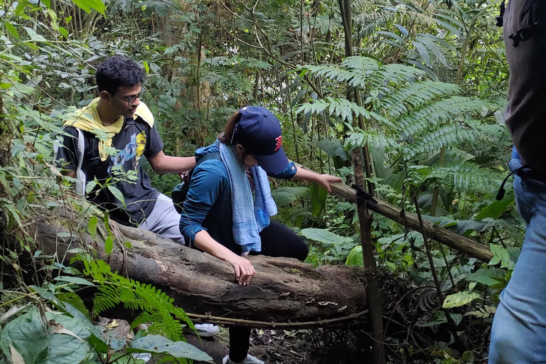 De Yakarta a Bogor: Excursión de un día a la Cascada de Luhur y al Lago Lido