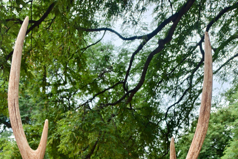 From Bengaluru: Devarayana Durga Guided Day Trip