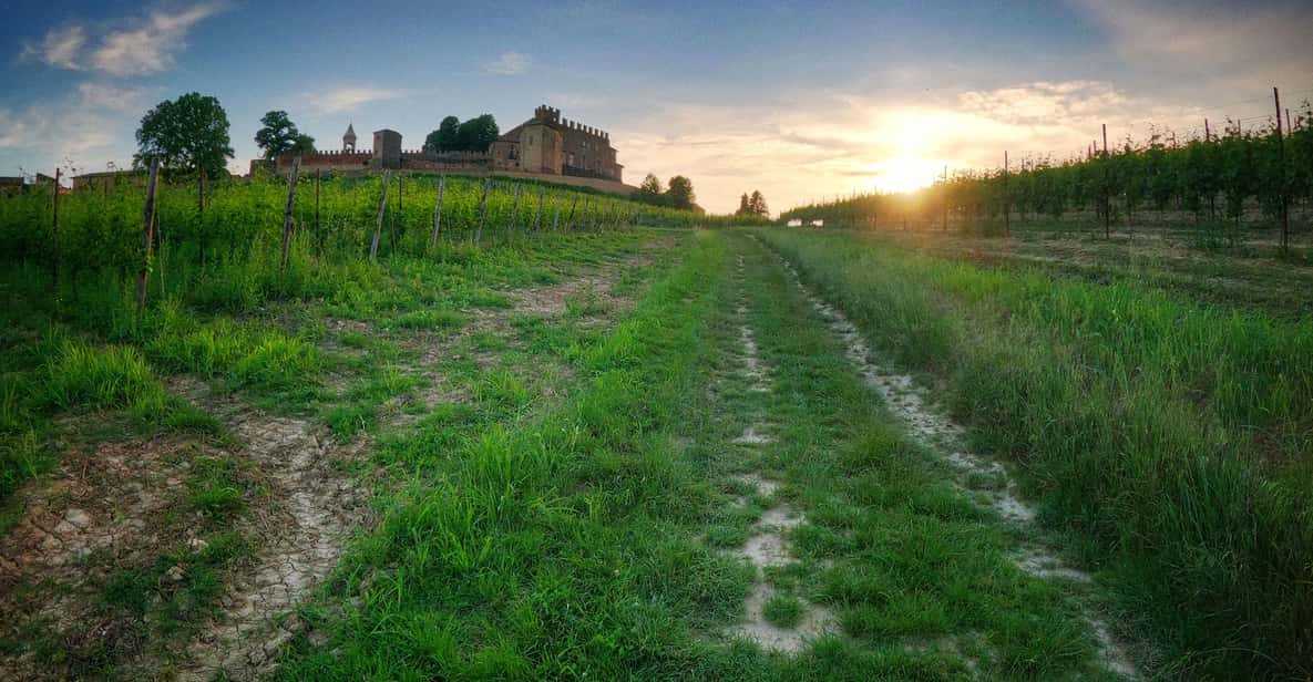 Afbeelding 7 van Monferrato: begeleide tour met MTB E-Bike om de wijngaarden te ontdekken