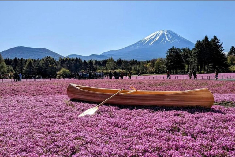 Mt Fuji Sightseeing Private tour with English Speaking Guide