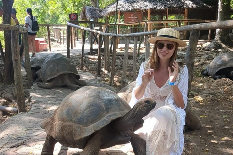Zanzibar:Sea torttle swim at Salaam & Prison Island Tortoise Private Salaam cave & prison Island. No transfer
