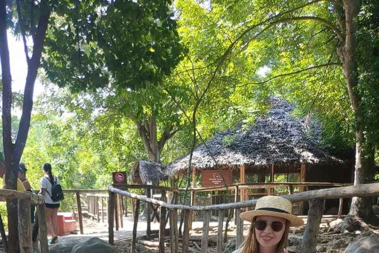 Zanzibar:Sea torttle swim at Salaam & Prison Island Tortoise Private Salaam cave & prison Island. No transfer