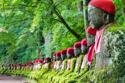 Tokyo:Nikko/Lake Chuzenji & Kegon Falls Scenic Day Trip