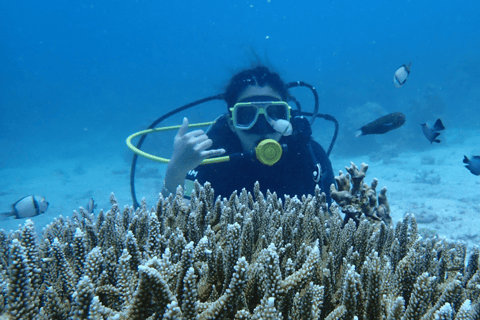 Boracay: Discover Scuba Diving | Pickup at the Hotel