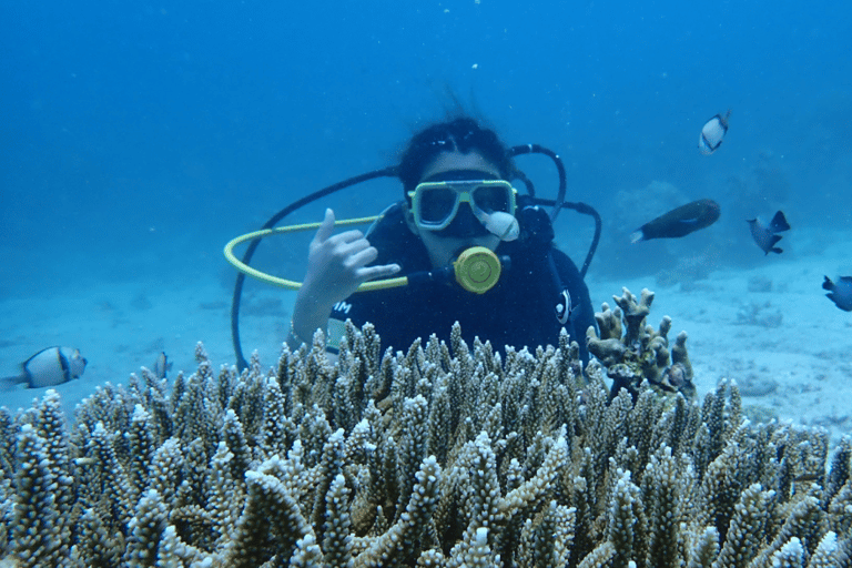 Boracay: Discover Scuba Diving | Pickup at the Hotel