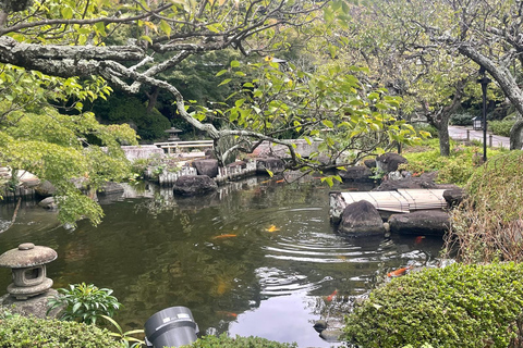 1-Day Tour Kamakura-Yokohama From Tokyo with English Guide