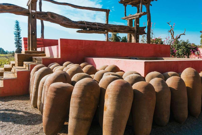 ICA | TOUR DEL PISCO E DEL VINO CON ESCURSIONE NEL DESERTO