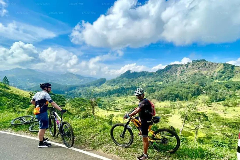 Tour in mountain bike lungo i sentieri del tè a KandyGiro in mountain bike lungo il Tea Trails Tour a Kandy