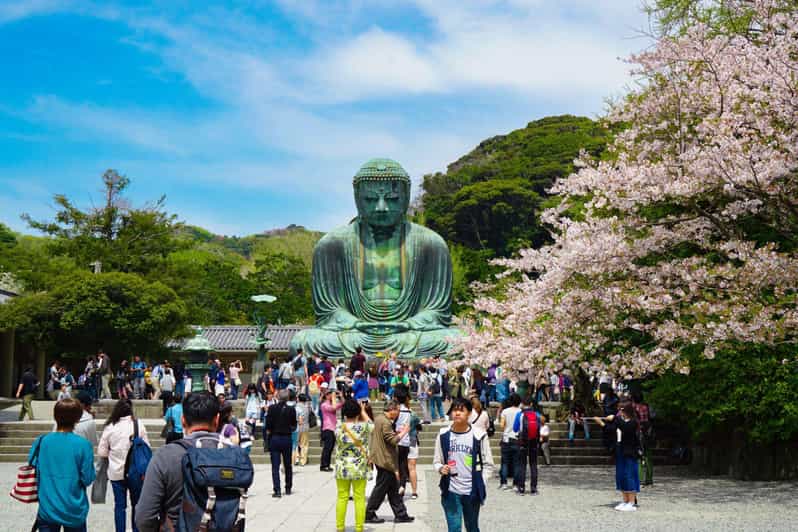 Tokyo: Private Kamakura Day Tour Great Buddha & Hidden Gems