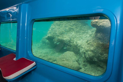 Zadar: Nemo Submarine tour aqua safari Zadar: Red Nemo Submarine tour