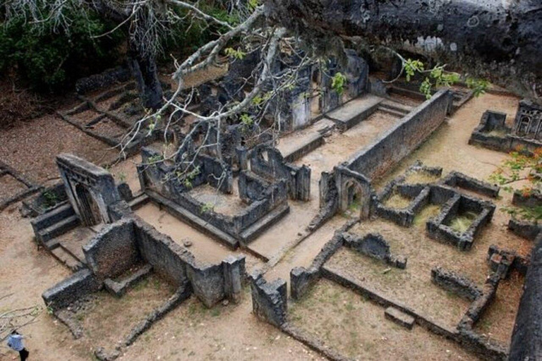 Mombasa: Gede Ruins and Arabuko Sokoke Forest Tour