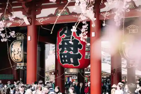Tokyo : Visite guidée privée avec un guide local