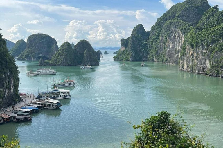 Hanoi: Całodniowy rejs po zatoce Halong z kajakiem, jaskiniami i lunchemOpcja odbioru z Hanoi (autobus w cenie)