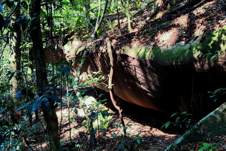 Rio de Janeiro: Tijuca Caves Guided Hike with Park Entry