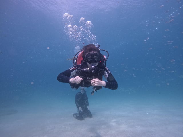 Desde Dubai: Submarinismo y Snorkel con Barbacoa y Traslado