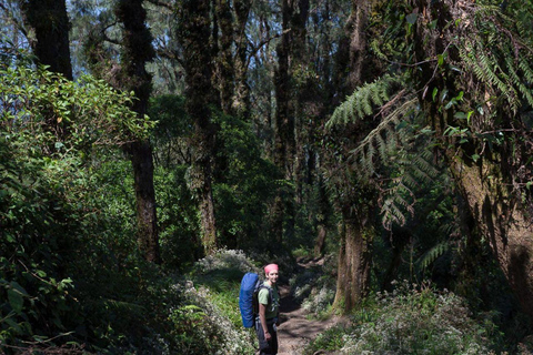 Bali's Mount Abang Expedition: Geführte Wanderung