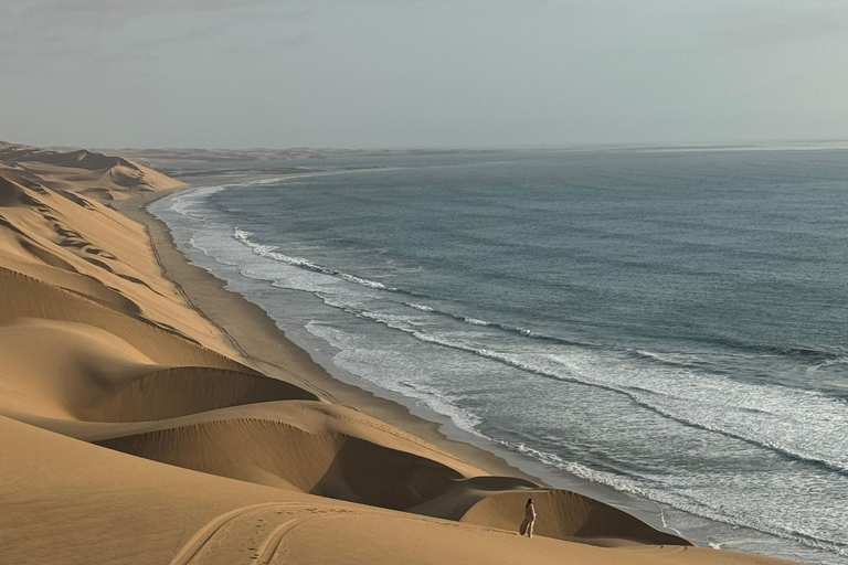 Walvisbay: Sandwich Harbour 4x4 Tour-Unparalleled Experience