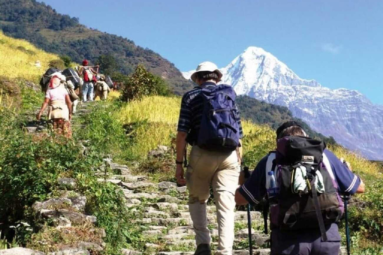 Nepal: Small Group 4-day Mardi Himal Trekking Pokhara: 4-days Mardi Himal Guided Trek