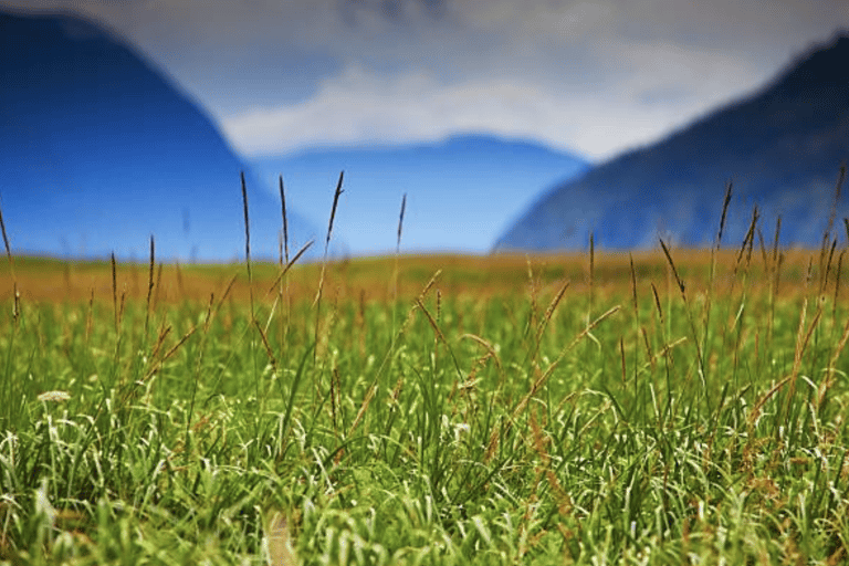 Small Group Skagway, White Pass & Gold Rush Adventure