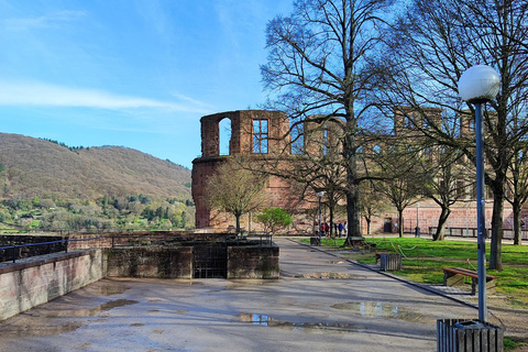 High Lights of Heidelberg - Private Tour of Castle and Town Heidelberg: All Inclusive Private Tour - Castle and Old Town
