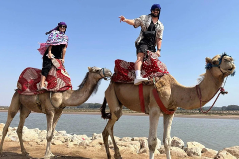Agadir: Camel Ride by Souss River with Hotel Pickup