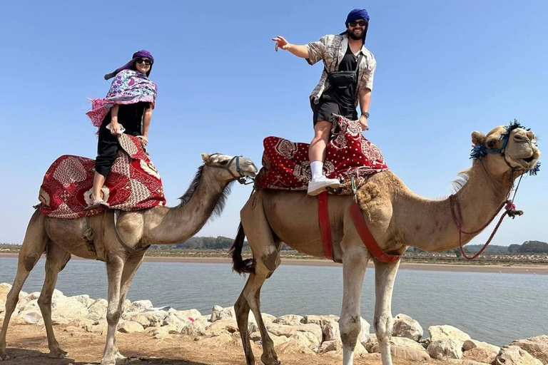 Agadir: Camel Ride by Souss River with Hotel Pickup