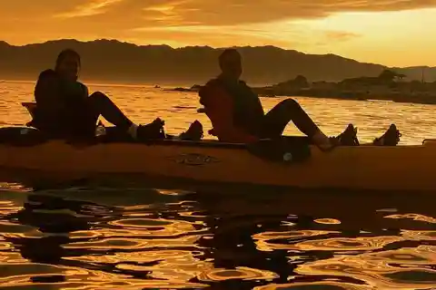 Kaikōura : excursion en kayak au coucher du soleil avec observation des phoques