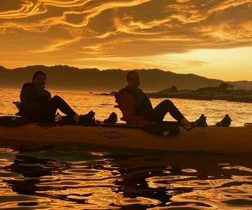 Kaikōura: Kayak Sunset Tour with Seal Sightings