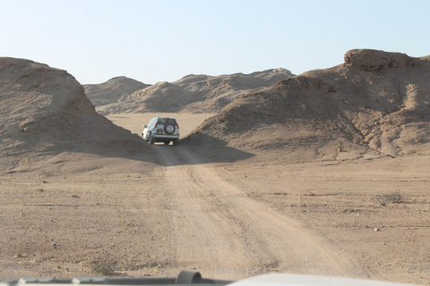 Swakopmund: Namib Desert Sunrise, Seals & Sandwich Harbour