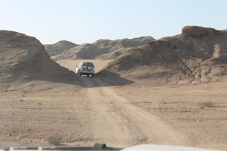 Swakopmund: Namib Desert Sunrise, Seals & Sandwich Harbour