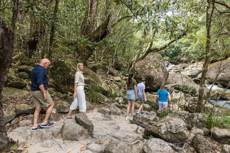 Cairns: 3-Day Daintree, Cape Tribulation & Port Douglas Tour Private Single Room (Adults only)