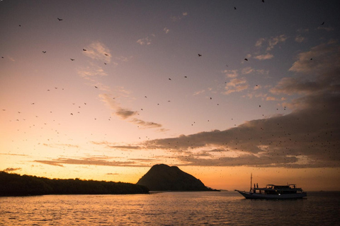Labuan Bajo: Sunset Tour by Speedboat