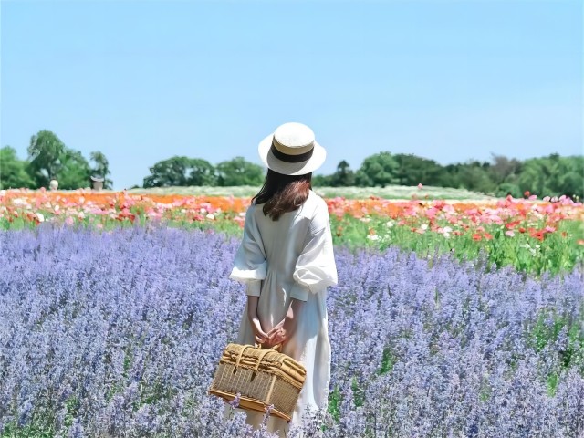 Visit Sapporo Summer: Biei Blue Pond & Floral Tour with Lunch in Furano