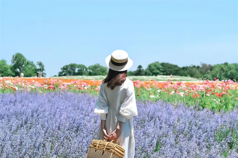 Sapporo Day Tour: Biei Blue Pond & Lavender Farm with Lunch 7:30 Pickup Point + Flower Sea Ticket (with Buffet + Melon)