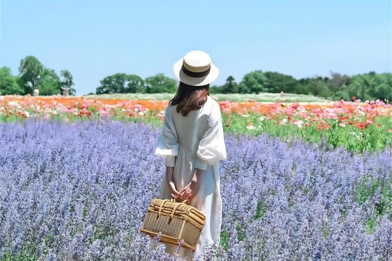 Sapporo Day Tour: Biei Blue Pond & Lavender Farm with Lunch 7:30 Pickup Point + Flower Sea Ticket (with Buffet + Melon)