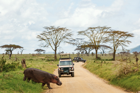 From Zanzibar: 1-Day Selous Safari with Flight & Lunch Selous Safari from Zanzibar – Without Transfer