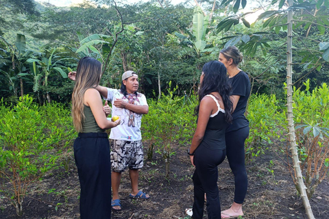 Cusco: 2-Day Coffee & Cacao Farm Stay Experience