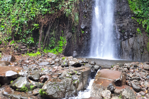 Island Tours: St. Vincent & the Grenadines - Dark View Falls