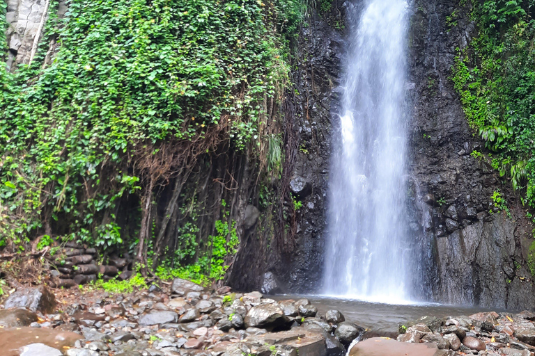 Island Tours: St. Vincent & the Grenadines - Dark View Falls
