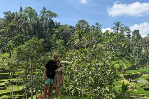 Ubud: Private Half-Day Tour Rice Terrace, Temple & Waterfall Private Ubud Half-Day Tour (Without Entrance Ticket)