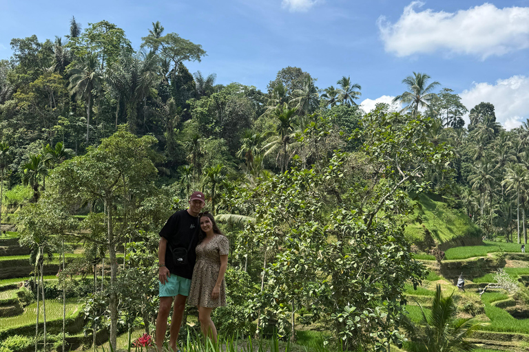 Ubud: Private Half-Day Tour Rice Terrace, Temple & Waterfall Private Ubud Half-Day Tour (Without Entrance Ticket)