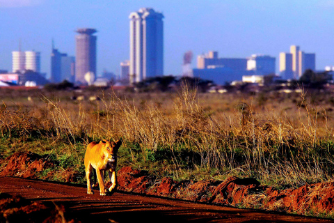 Nairobi: Nairobi National Park Morgenpirschfahrt