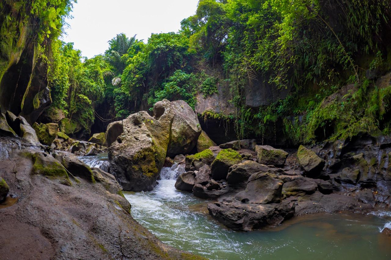 Ubud: Hidden Canyon Beji Guwang Guided Tour Small Group Tour (Meeting Point at Ubud Palace)