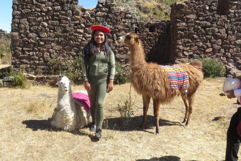 Vanuit Cusco: Tour naar Chinchero/Maras/Moray+Picnic met lama'sVan Cusco: Tour naar Chinchero/Maras/Moray+Picknick met lama's