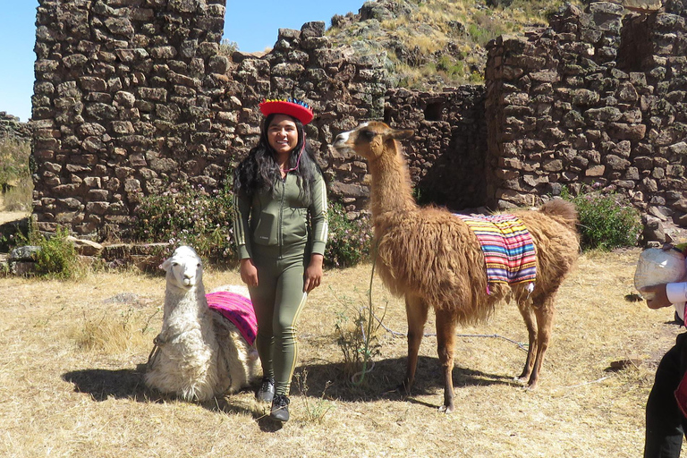 Depuis Cusco : Visite de Chinchero/Maras/Moray + pique-nique avec des lamas